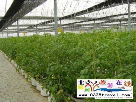 北戴河集發(fā)生態(tài)觀光園