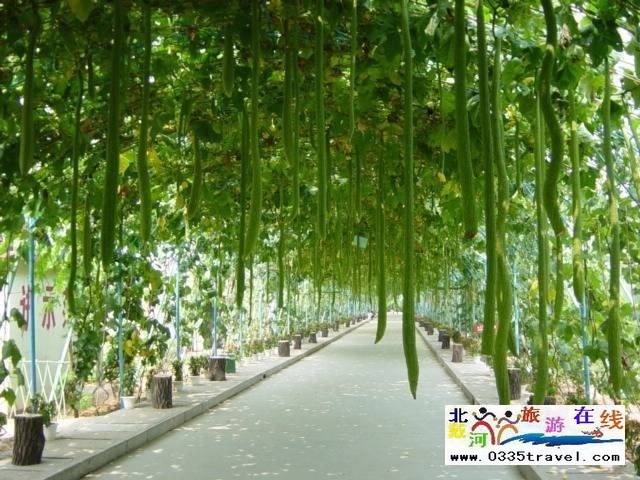 北戴河集發(fā)生態(tài)觀光園