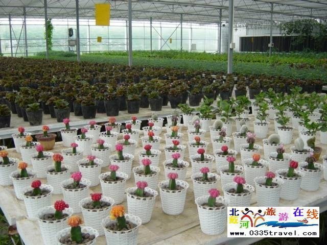 北戴河集發(fā)生態(tài)觀光園