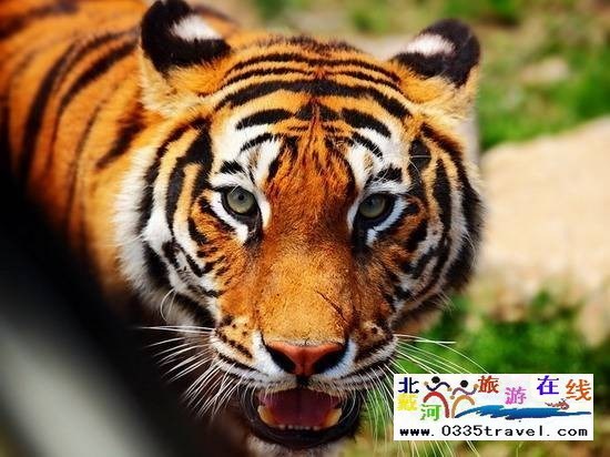 秦皇島野生動(dòng)物園