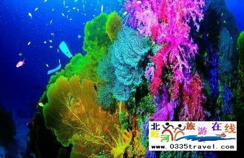 秦皇島新澳海底世界