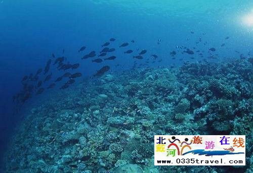 秦皇島新澳海底世界