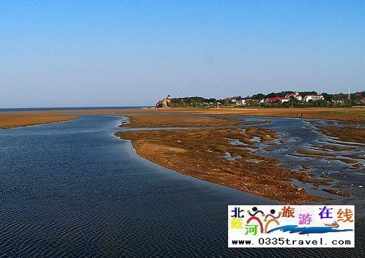 北戴河旅游攻略:北戴河觀鳥(niǎo)旅游精美圖片欣賞