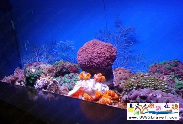 圣藍(lán)皇家海洋公園