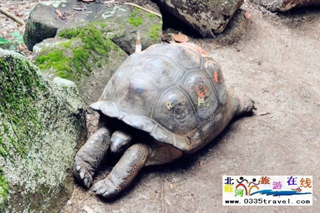 北戴河圣藍(lán)皇家海洋公園