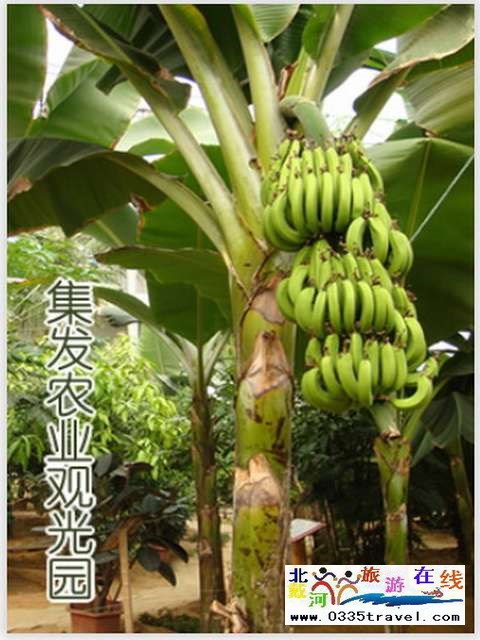 秦皇島一卡通旅游年票