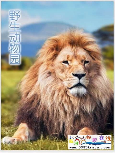 秦皇島一卡通旅游年票