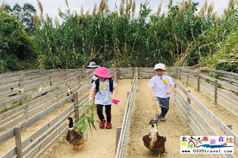 北戴河集發(fā)夢想王國電話18633570222  15703350808