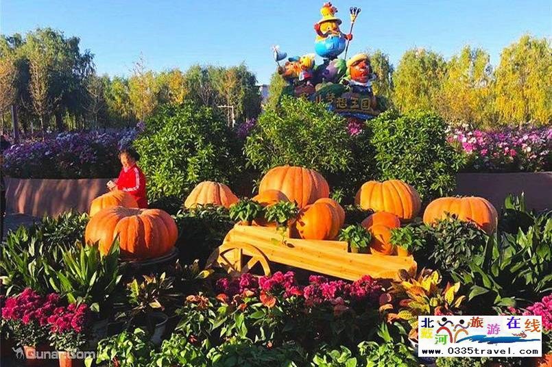 北戴河集發(fā)夢想王國電話18633570222  15703350808