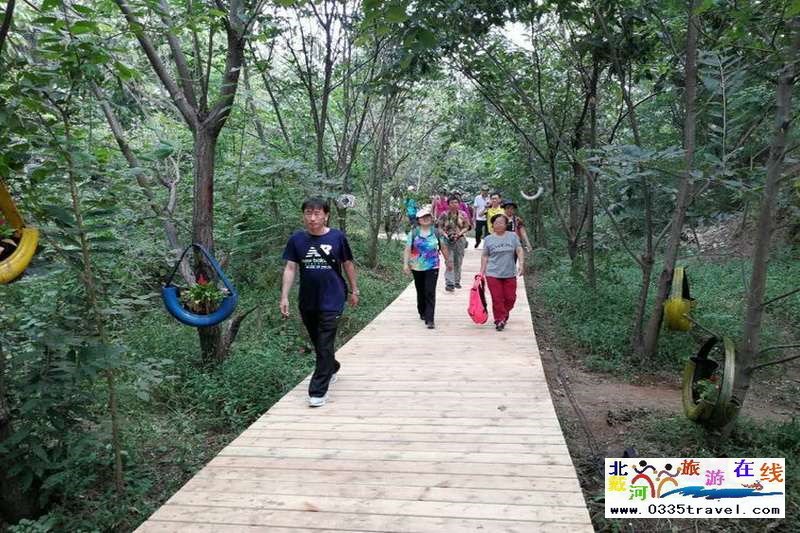 秦皇島盧龍棋盤(pán)山景區(qū)電話0335-3522588