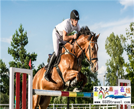 [秦皇島] 秦皇島北戴河超硬核馬術(shù)俱樂部集錦——兒童馬術(shù)課程：英倫國際馬術(shù)俱樂部、仁軒馬術(shù)俱樂部、阿那亞馬會(huì)