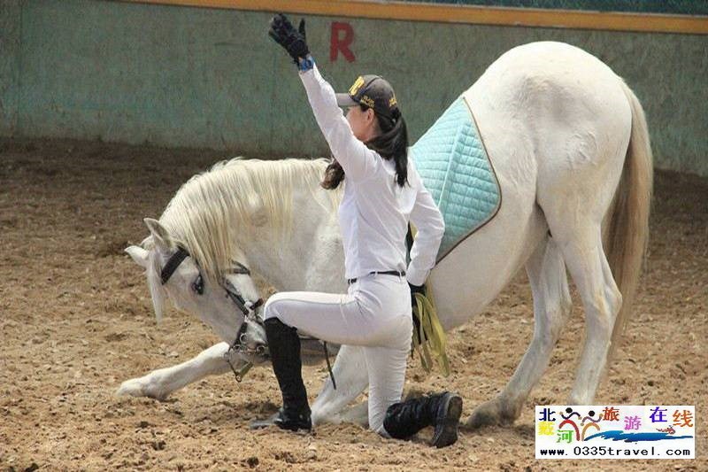 北戴河英倫國(guó)際馬術(shù)俱樂部酒店