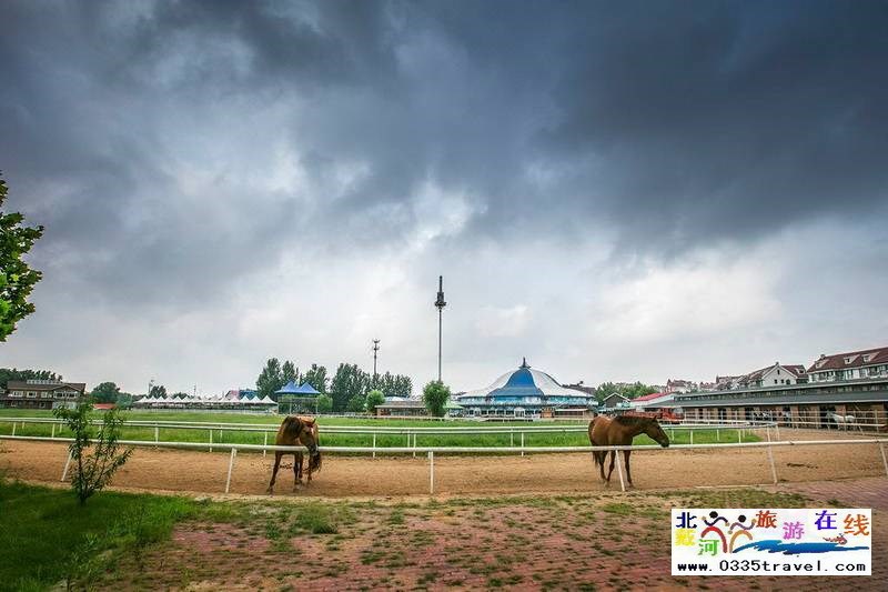 北戴河英倫國(guó)際馬術(shù)俱樂部