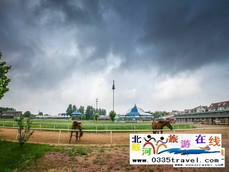 北戴河英倫國(guó)際馬術(shù)俱樂部