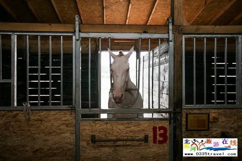 北戴河英倫國(guó)際馬術(shù)俱樂部