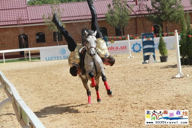 北戴河英倫國(guó)際馬術(shù)俱樂部