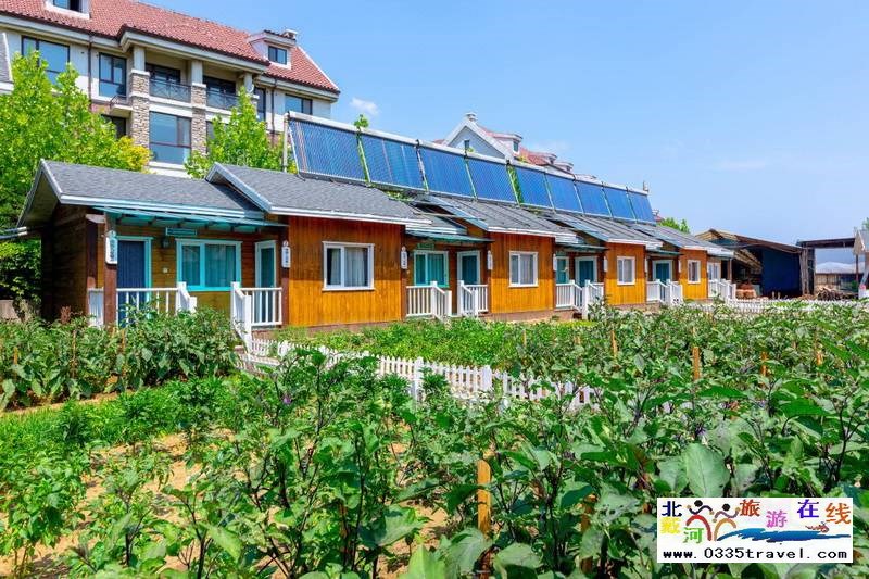 北戴河英倫國(guó)際馬術(shù)俱樂部