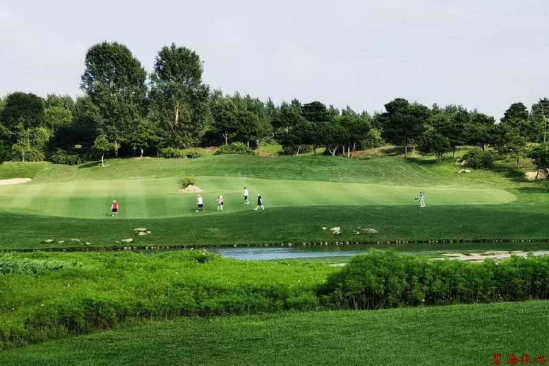 北戴河松石高爾夫/保利國際高爾夫/榮盛森林高爾夫俱樂部球場聯(lián)合優(yōu)惠預(yù)訂18633570222  15703350808 北戴河松石高爾夫/保利國際高爾夫/榮盛森林高爾夫俱樂部球場聯(lián)合優(yōu)惠預(yù)訂18633570222  15703350808
