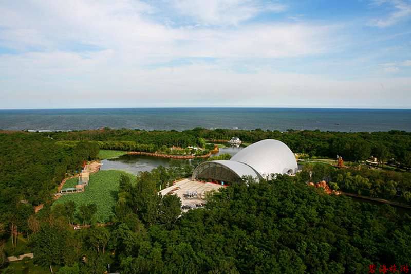 南戴河國際娛樂中心-NanYuu Resort 南戴河國際娛樂中心-NanYuu Resort