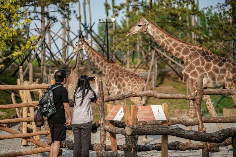 北戴河漁田小鎮(zhèn)七里海度假區(qū)-萬得瀾度假酒店&七里宿集民宿 北戴河漁田小鎮(zhèn)七里海度假區(qū)-萬得瀾度假酒店&七里宿集民宿